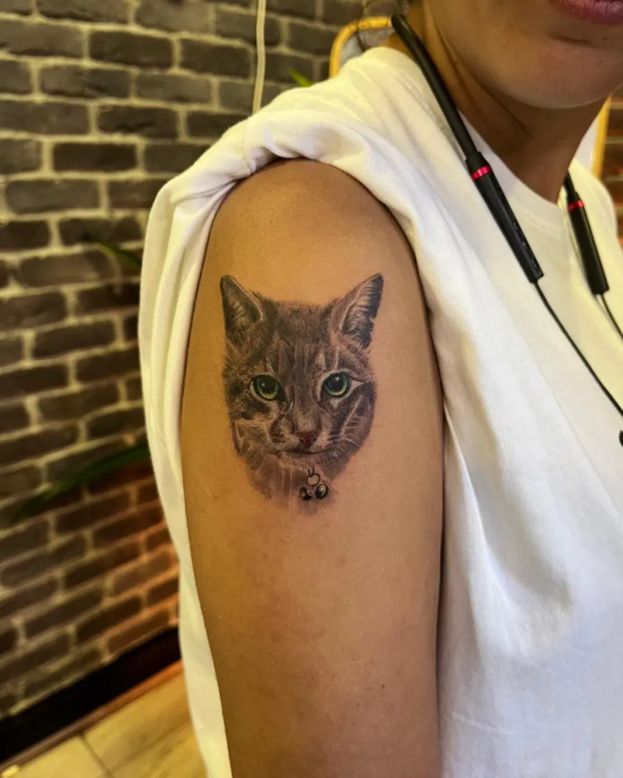 Üst kolda renkli kedi portresi dövmesi